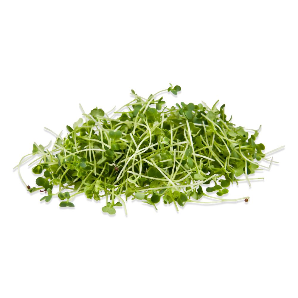 Arugula