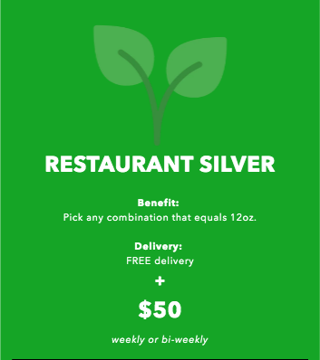 Restaurant Silver Plan